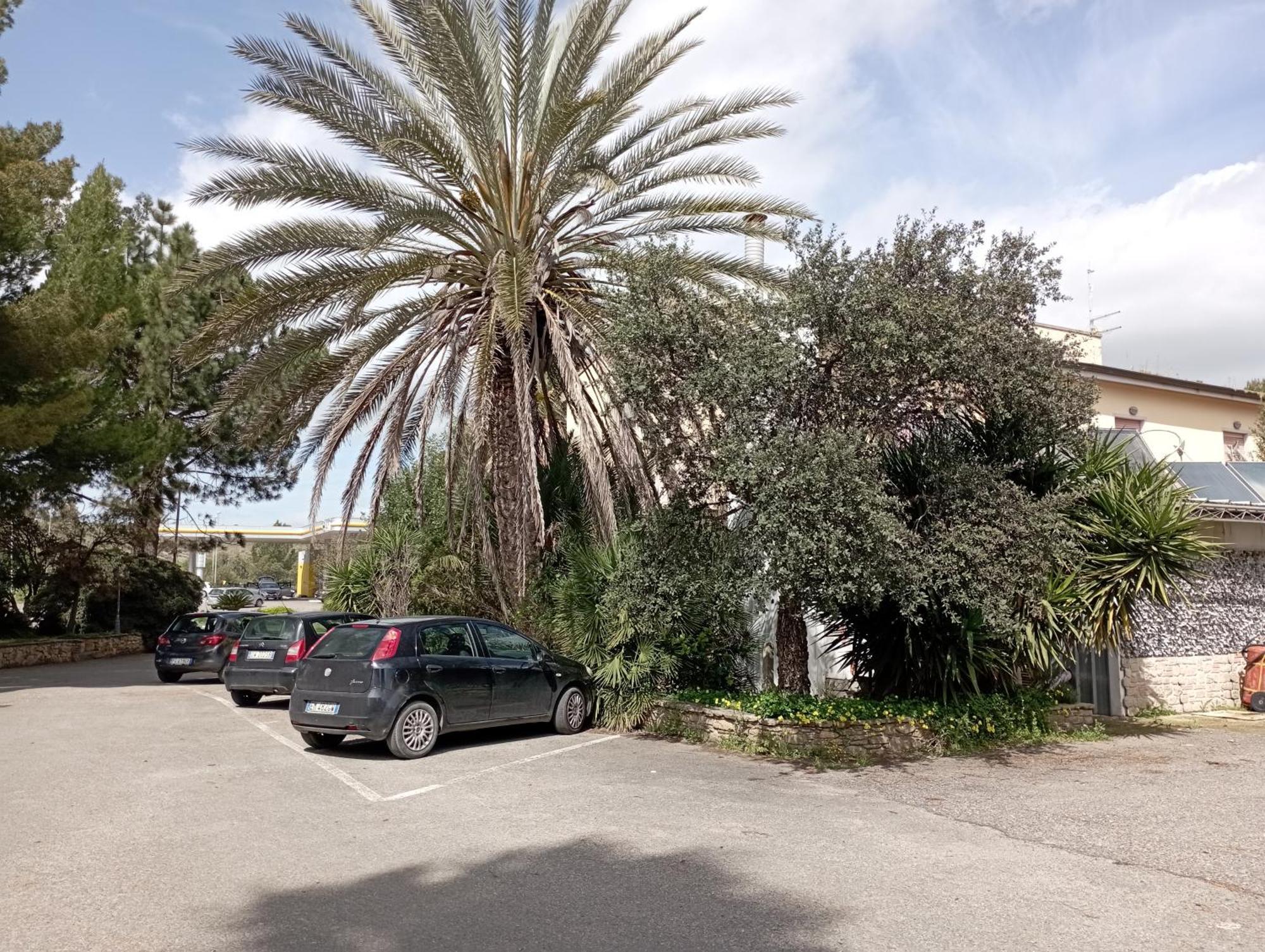 Garden Hotel
